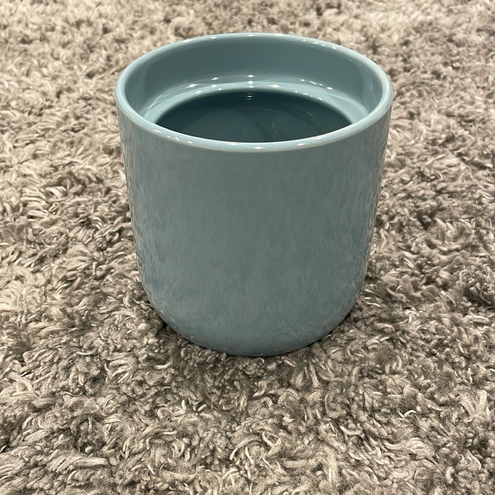 Blue Plant Potter
